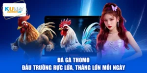 Đá Gà Thomo - Đấu Trường Rực Lửa, Thắng Lớn Mỗi Ngày