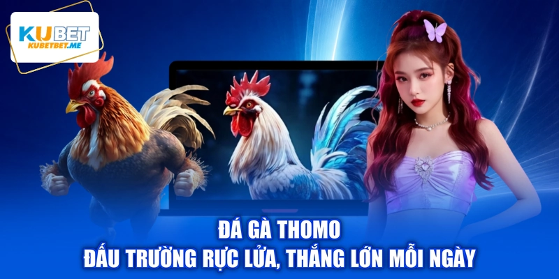 Đá Gà Thomo - Đấu Trường Rực Lửa, Thắng Lớn Mỗi Ngày